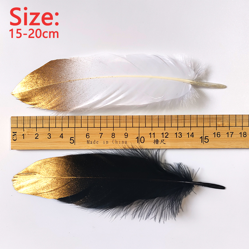 15-20cm Black White Feathers W - Centerpiece Vase Tall ulasan dan harga