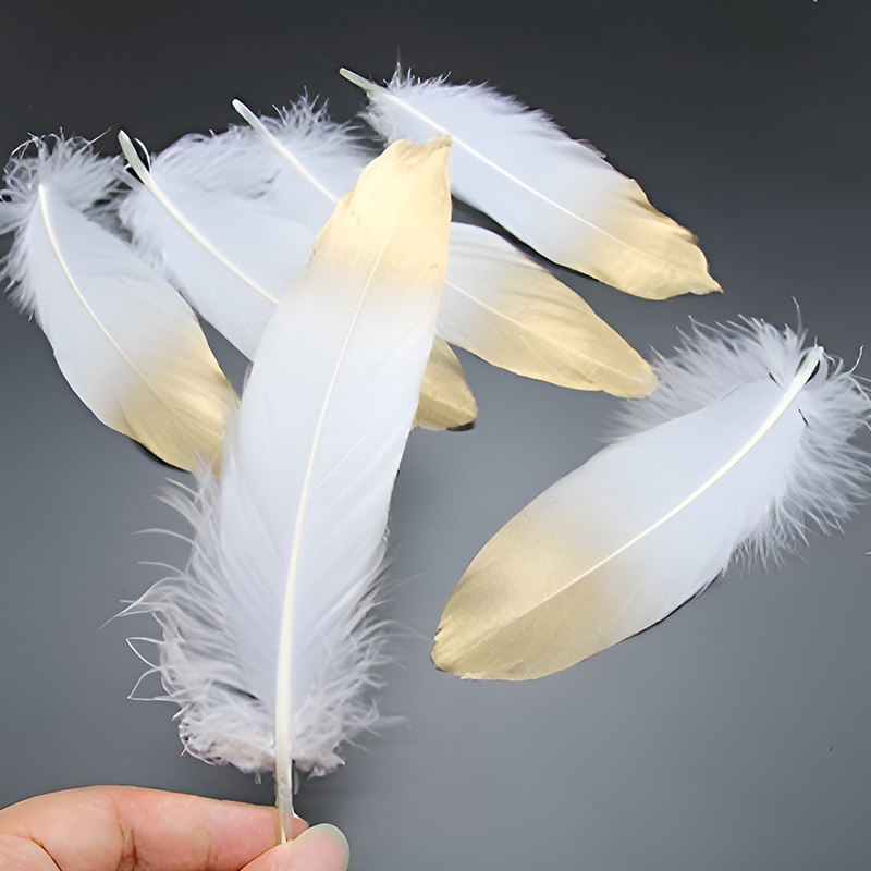 15-20cm Black White Feathers W - Centerpiece Vase Tall ulasan dan harga